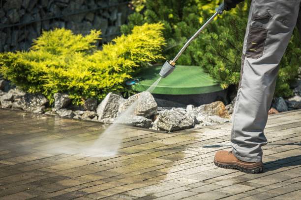 Reliable Zachary, LA Pressure Washing Services Solutions